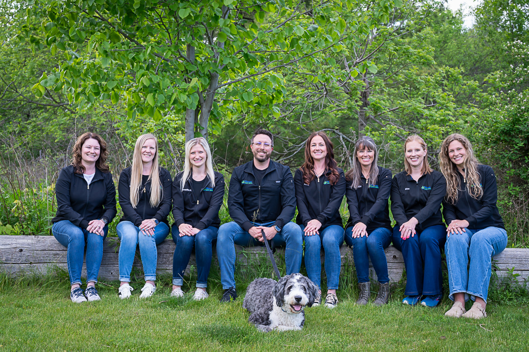 Dental Cleaning and Exams